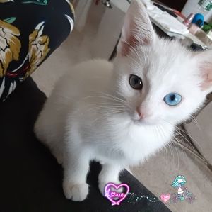 Meet your Posher, Lillian